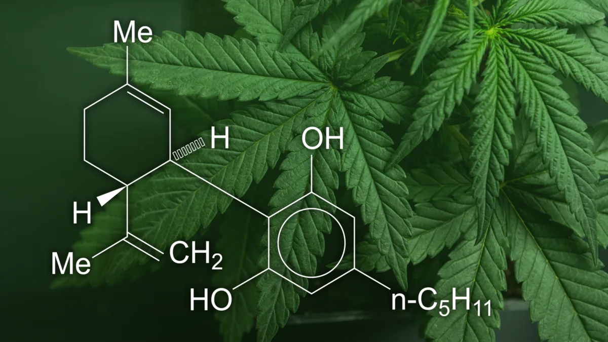 CBD (cannabidiol)
